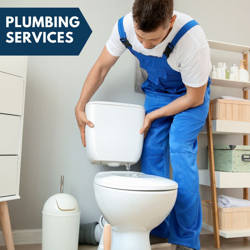 Plumbing Company in Grass Lake, MI